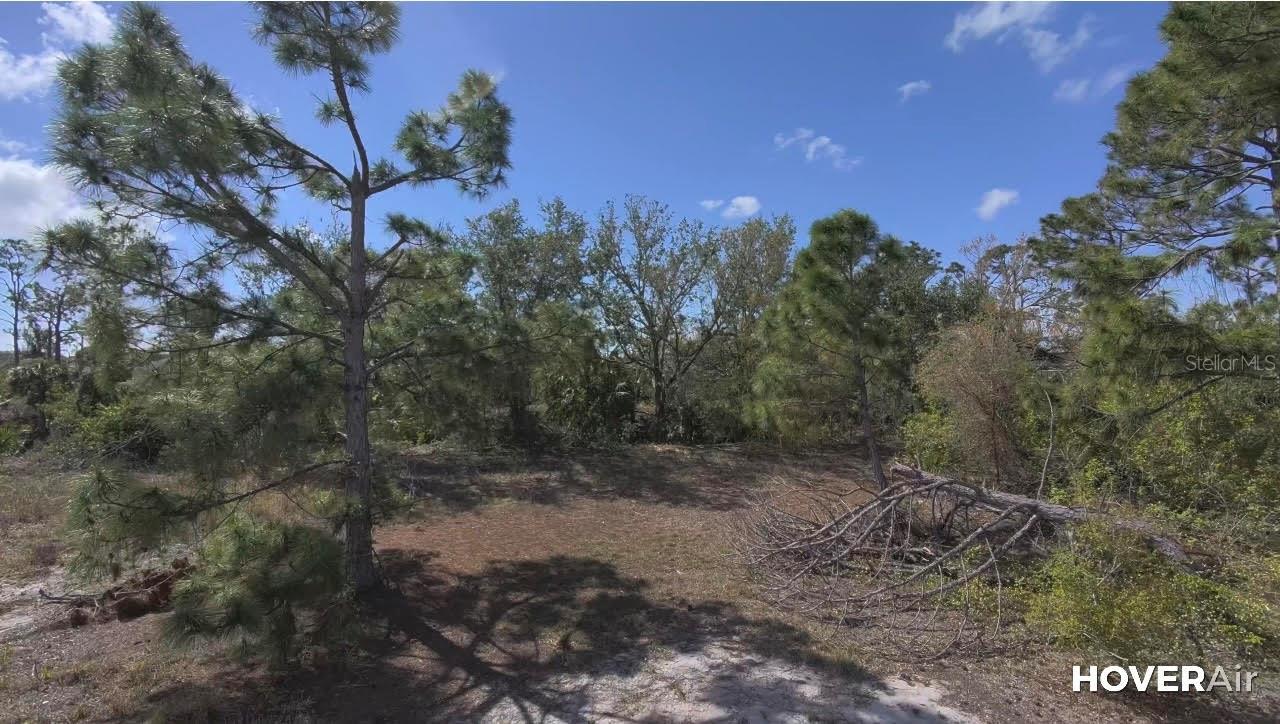 11417 CLAGGETT AVE, PORT CHARLOTTE, FL, 33981