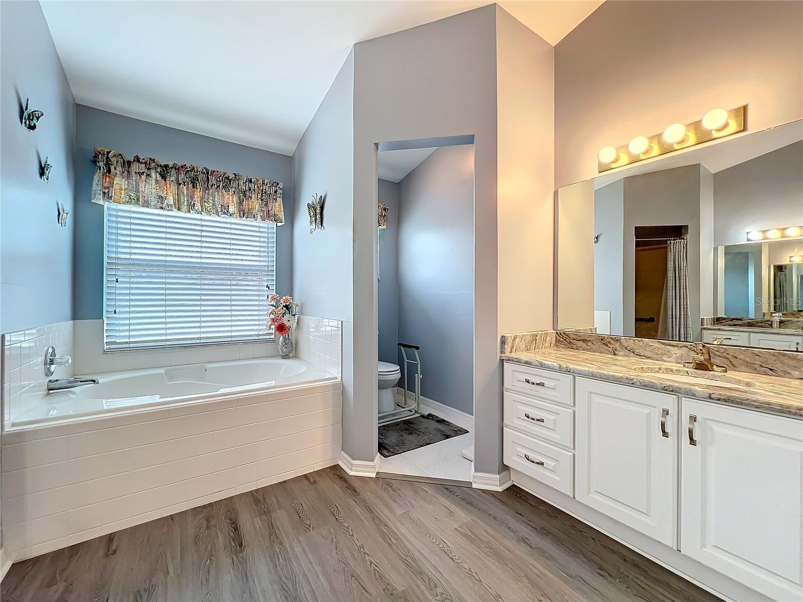 25110 MERIWEATHER RD, LEESBURG, FL, 34748