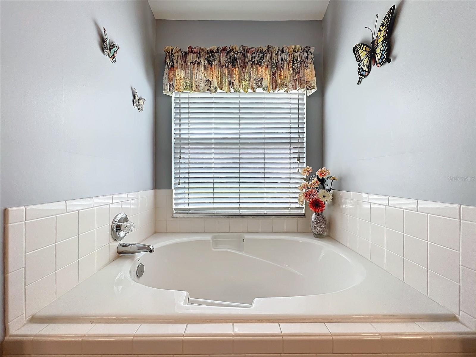 25110 MERIWEATHER RD, LEESBURG, FL, 34748