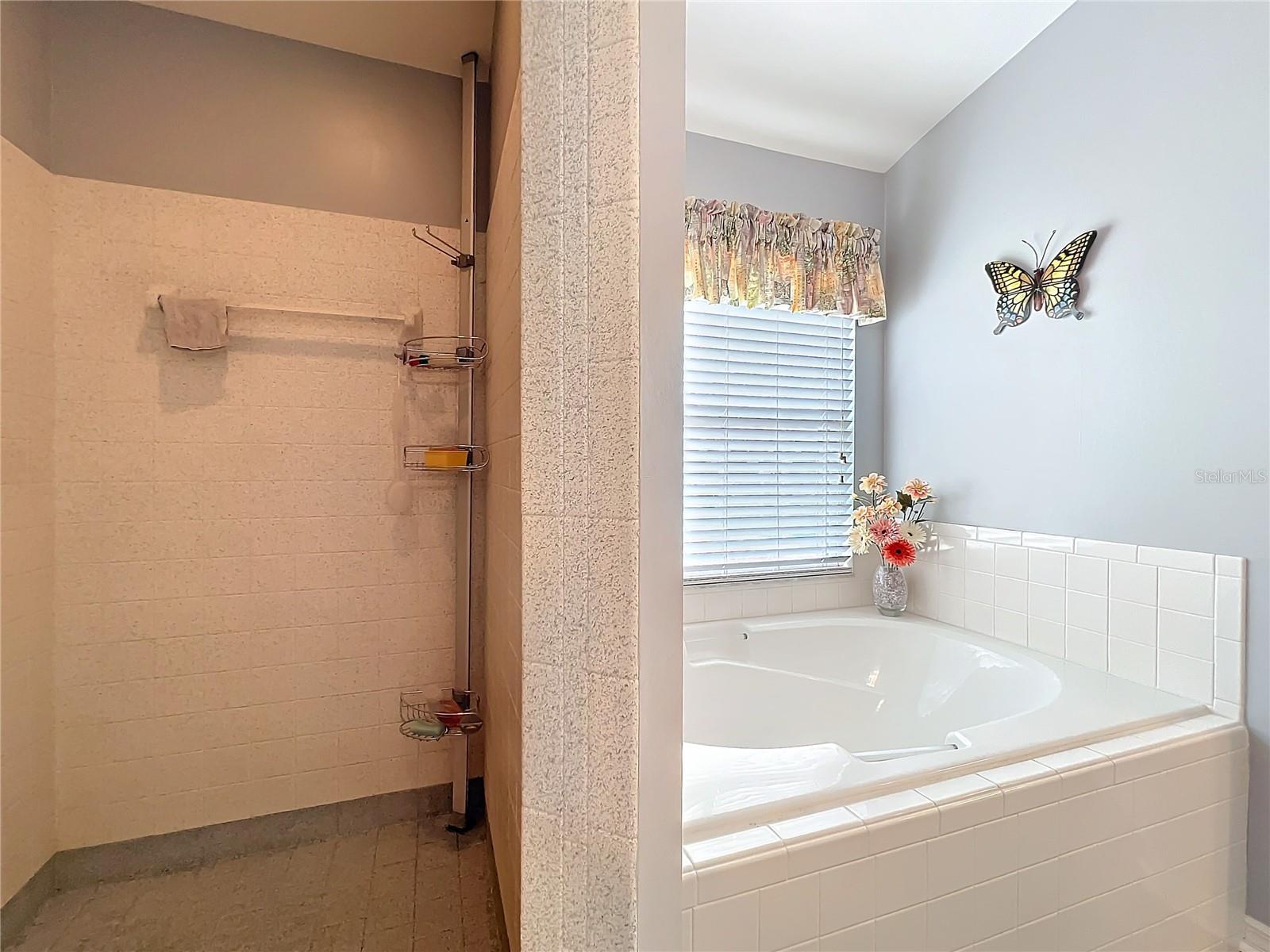 25110 MERIWEATHER RD, LEESBURG, FL, 34748