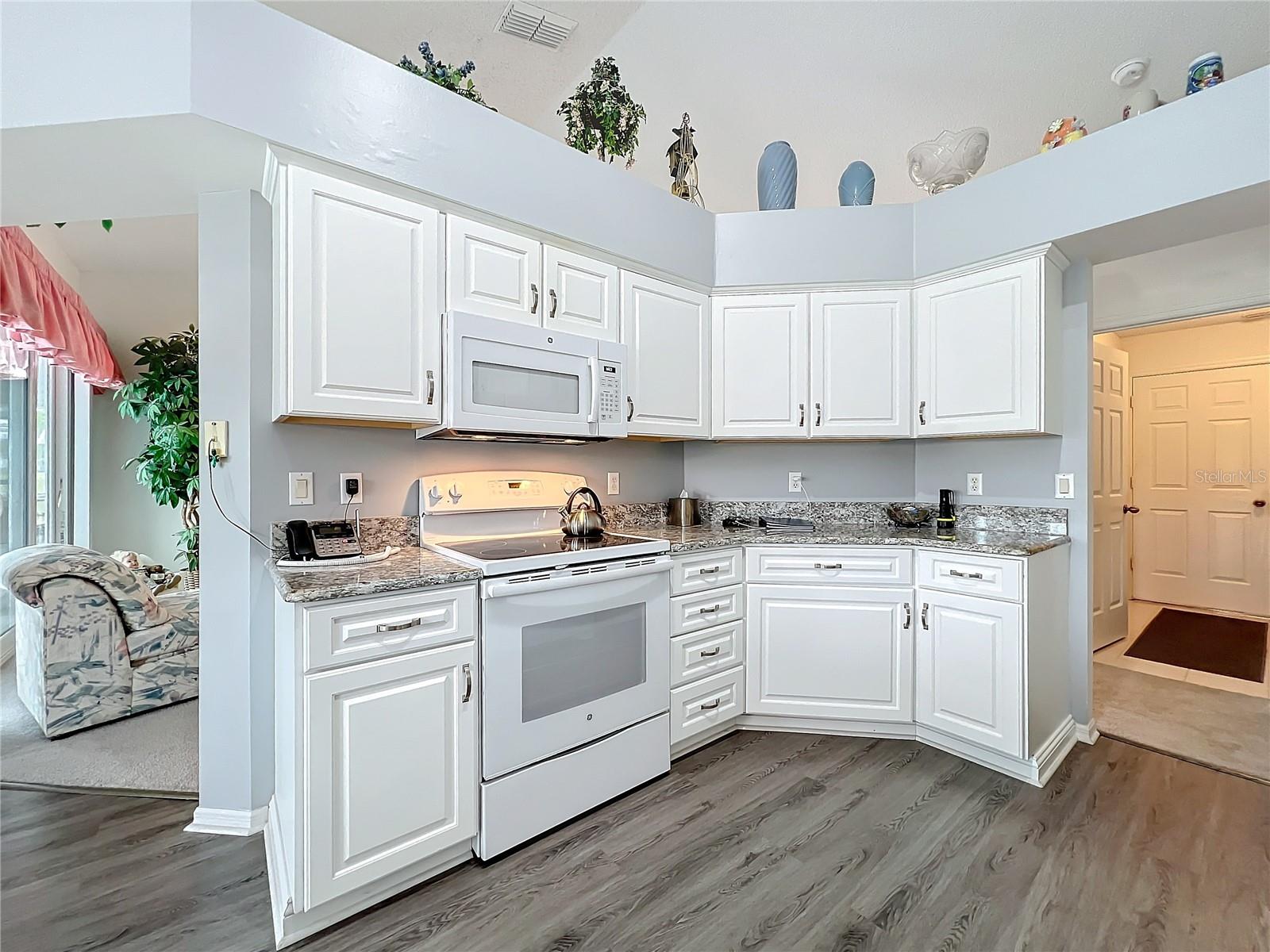 25110 MERIWEATHER RD, LEESBURG, FL, 34748
