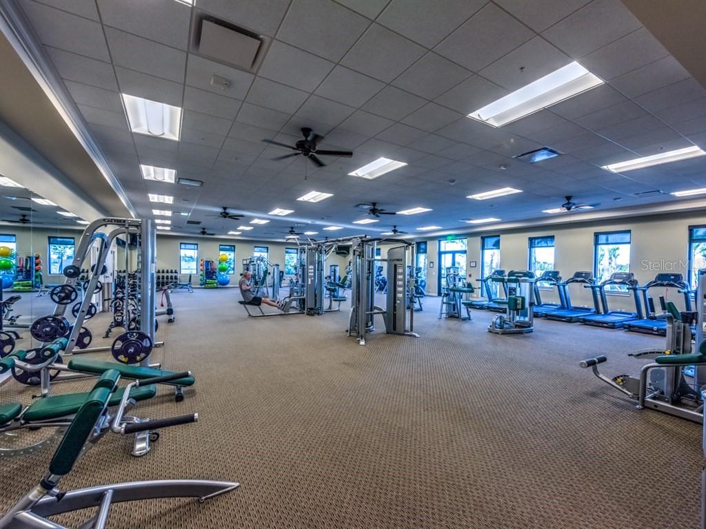 24036 SPARTINA DR, VENICE, FL, 34293