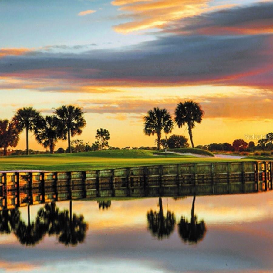 24036 SPARTINA DR, VENICE, FL, 34293