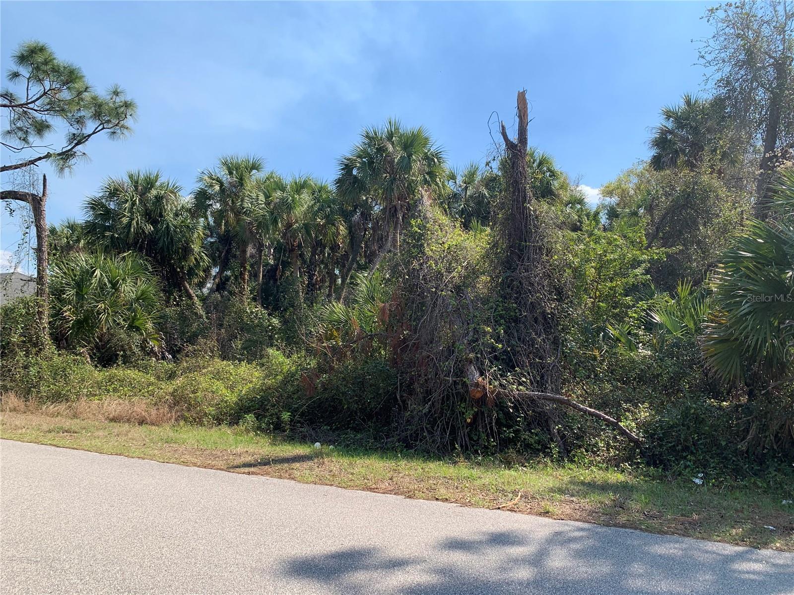 WILCOX AVE, NORTH PORT, FL, 34288