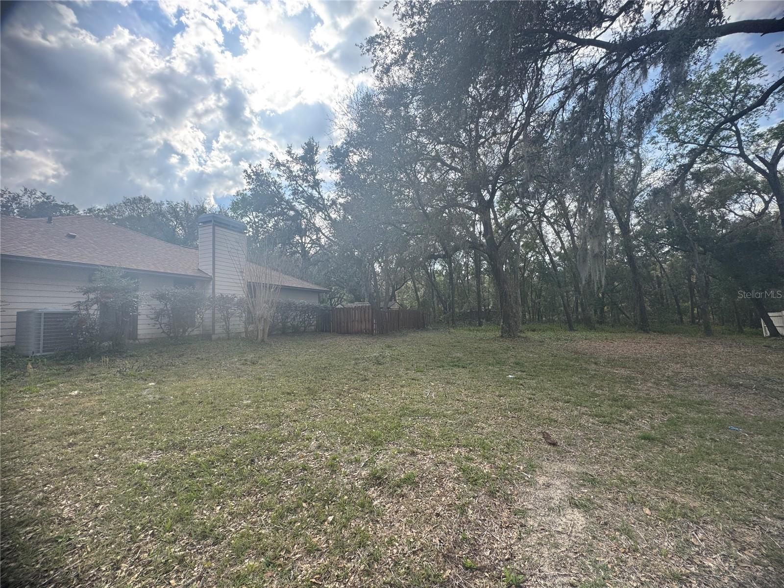381 CARRIAGE LN, LADY LAKE, FL, 32159