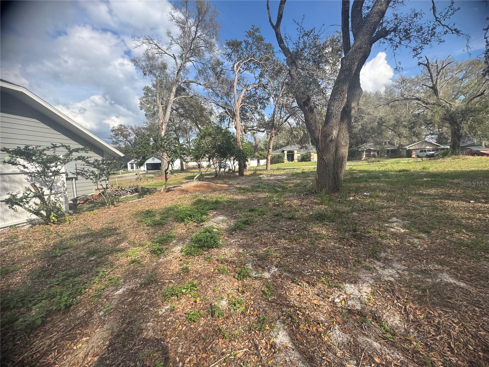 381 CARRIAGE LN, LADY LAKE, FL, 32159