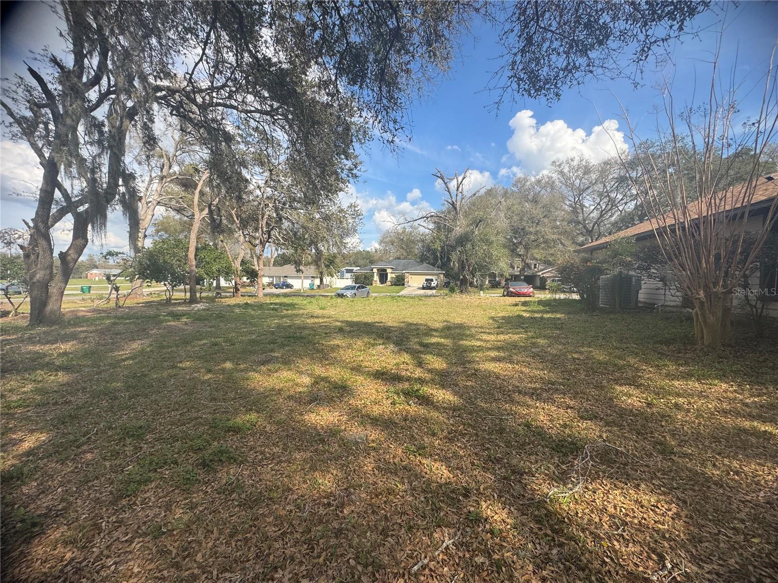 381 CARRIAGE LN, LADY LAKE, FL, 32159