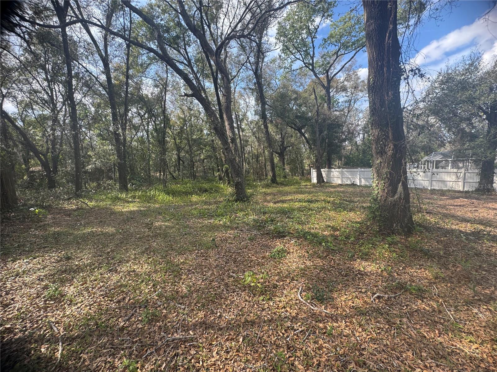 381 CARRIAGE LN, LADY LAKE, FL, 32159