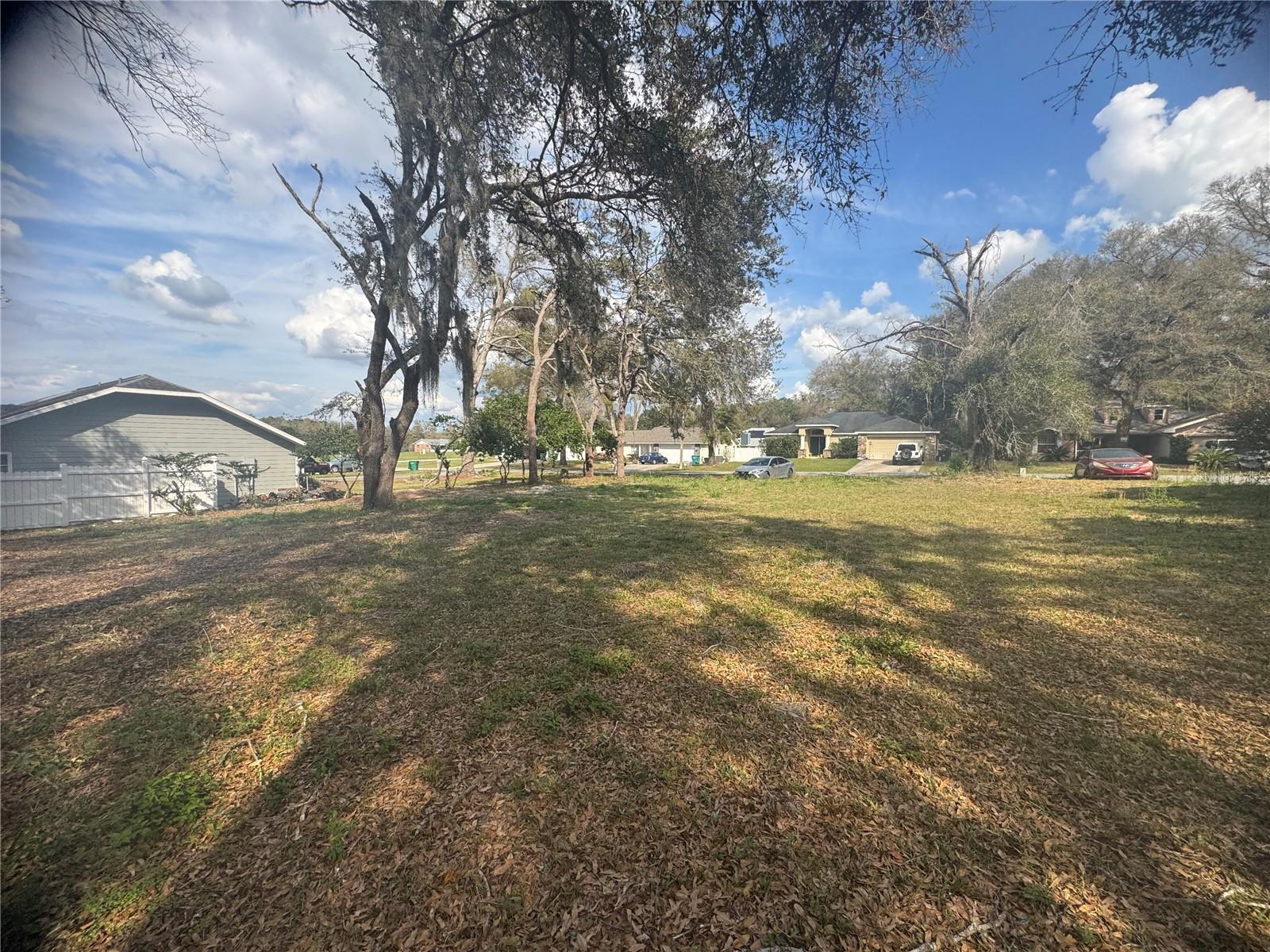 381 CARRIAGE LN, LADY LAKE, FL, 32159