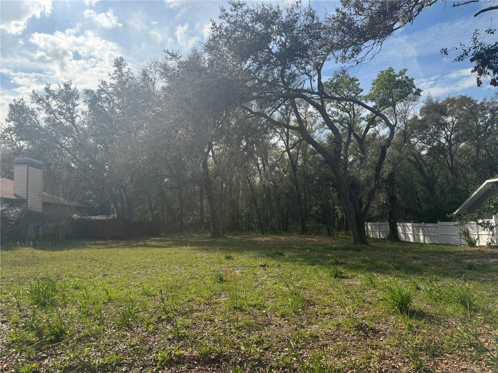 381 CARRIAGE LN, LADY LAKE, FL, 32159