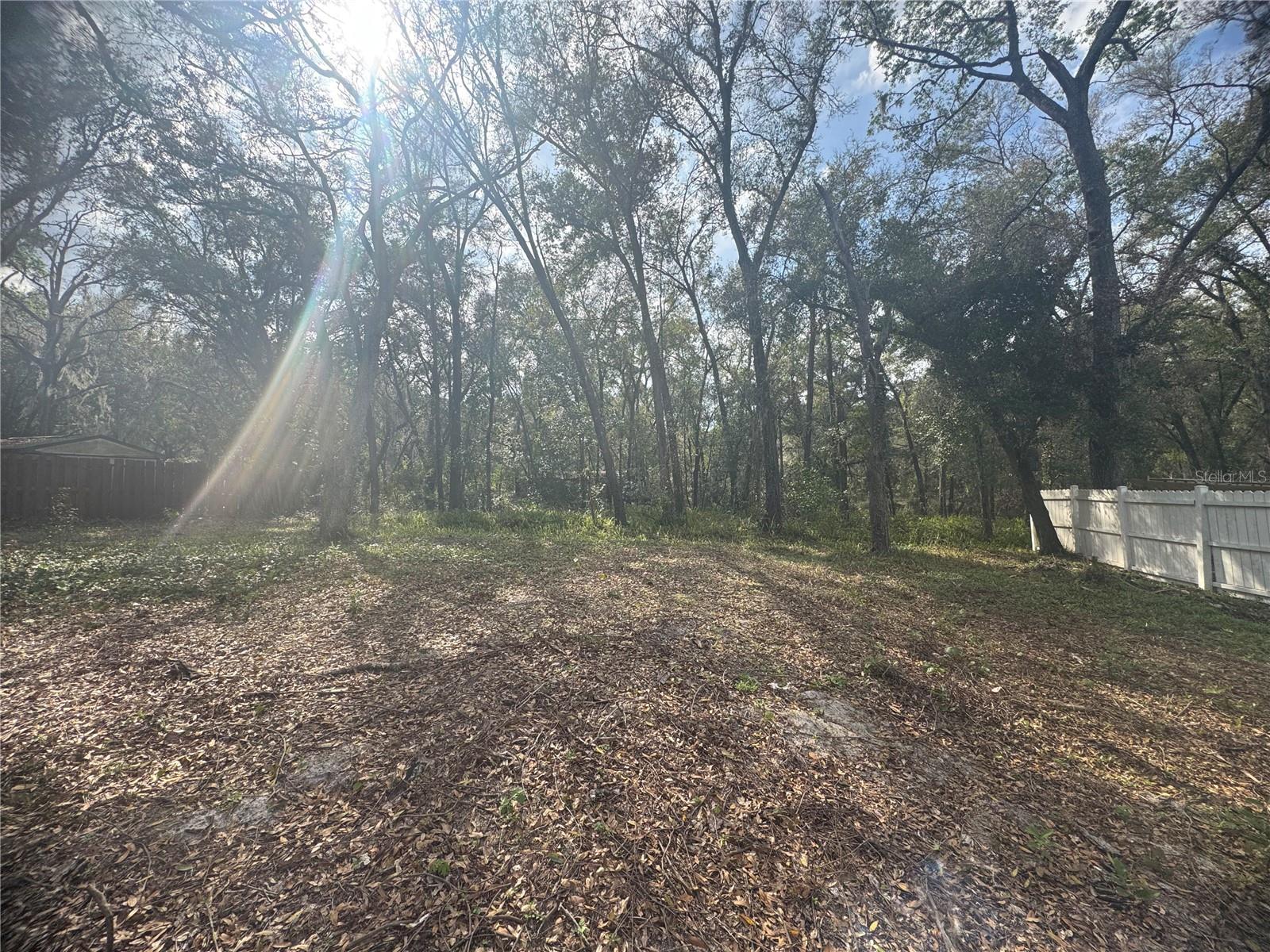 381 CARRIAGE LN, LADY LAKE, FL, 32159