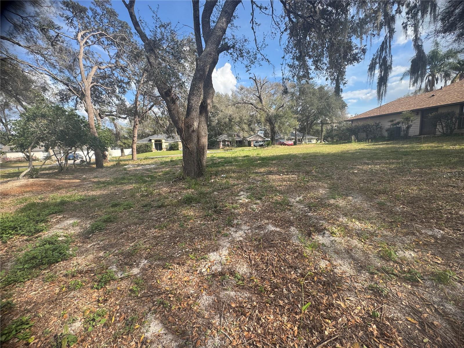 381 CARRIAGE LN, LADY LAKE, FL, 32159