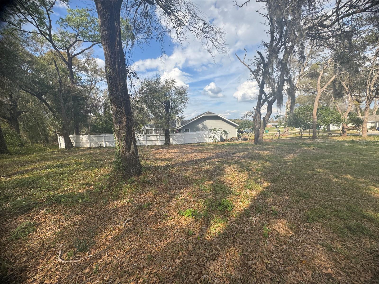 381 CARRIAGE LN, LADY LAKE, FL, 32159