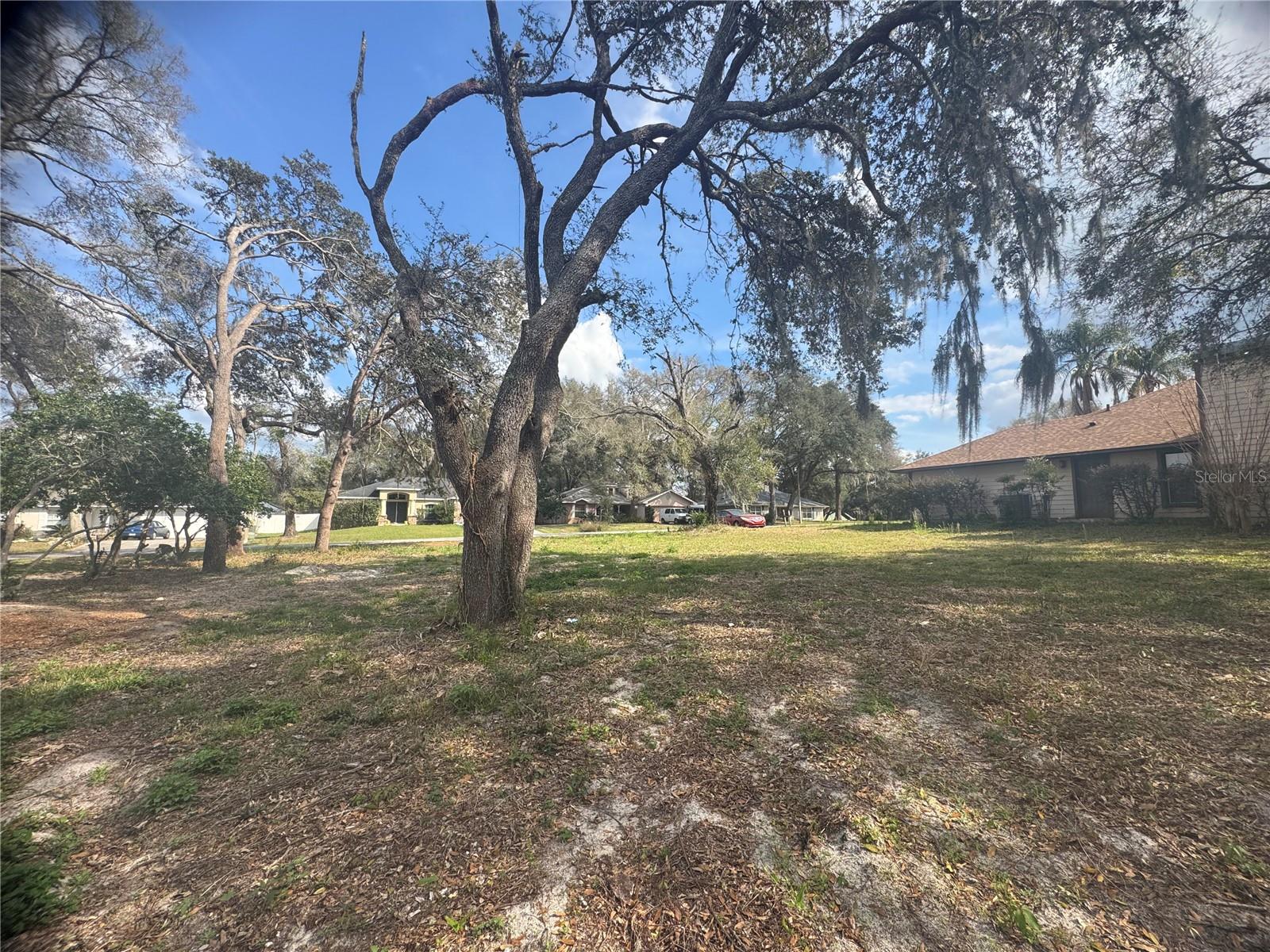 381 CARRIAGE LN, LADY LAKE, FL, 32159