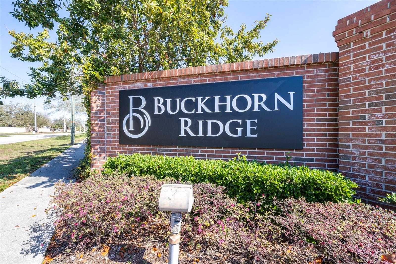 4313 BROOKE DR, VALRICO, FL, 33594