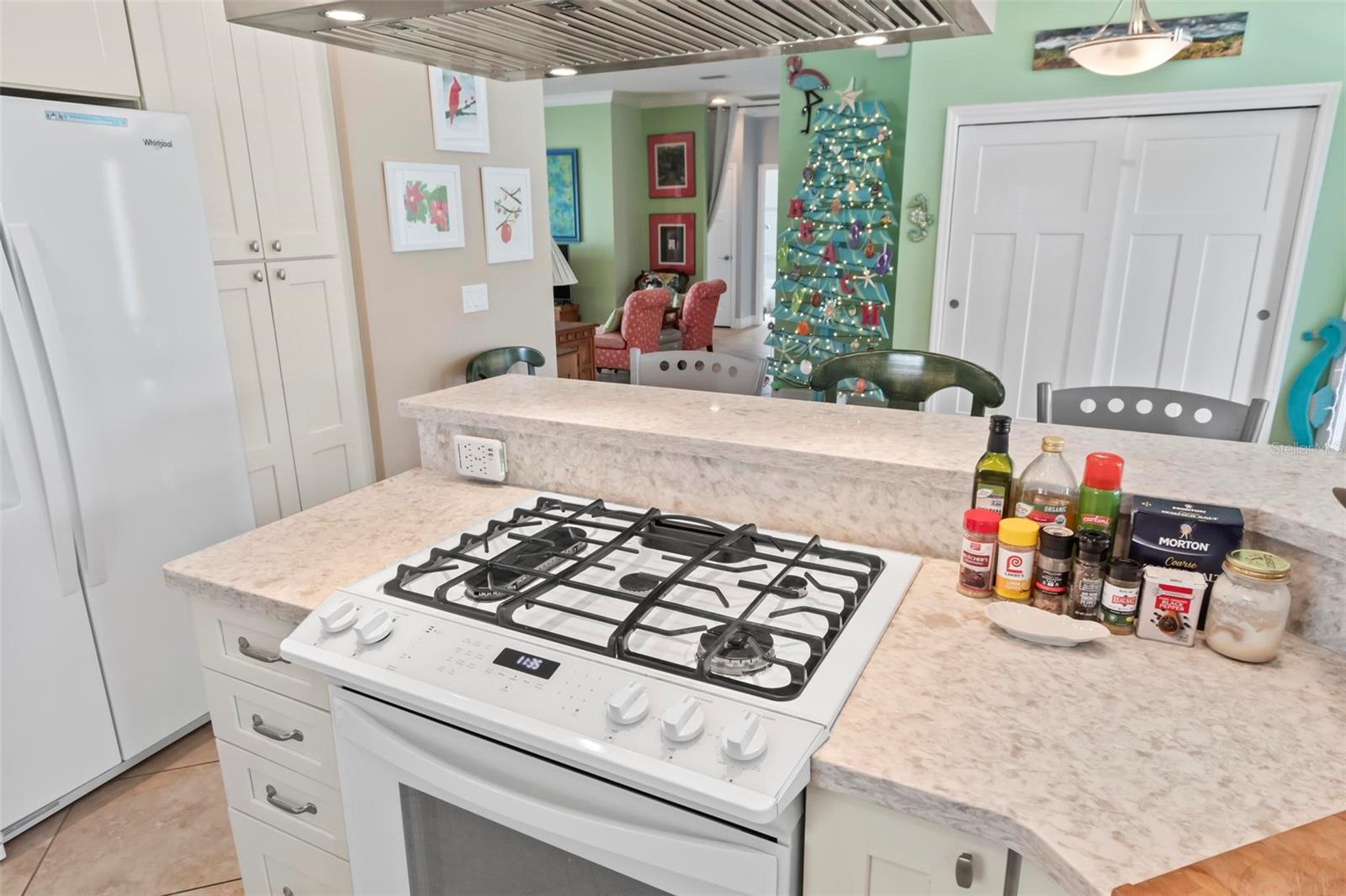 2415 S DAYTONA AVE, FLAGLER BEACH, FL, 32136