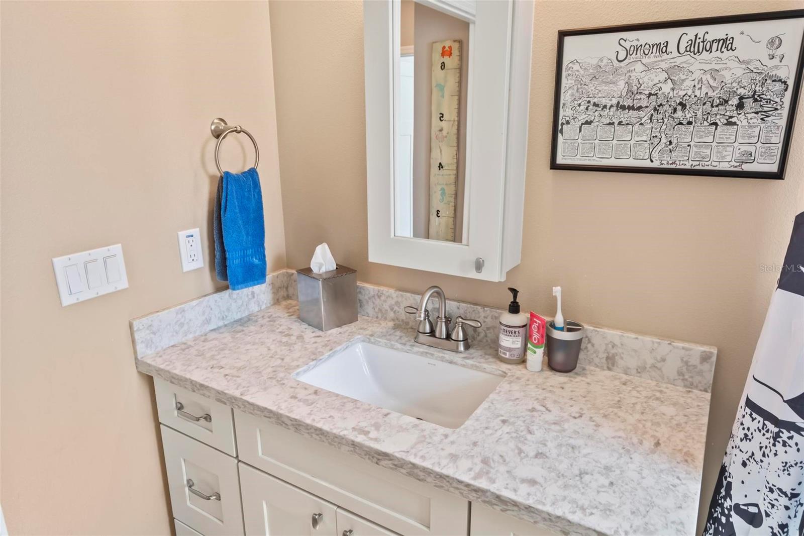 2415 S DAYTONA AVE, FLAGLER BEACH, FL, 32136