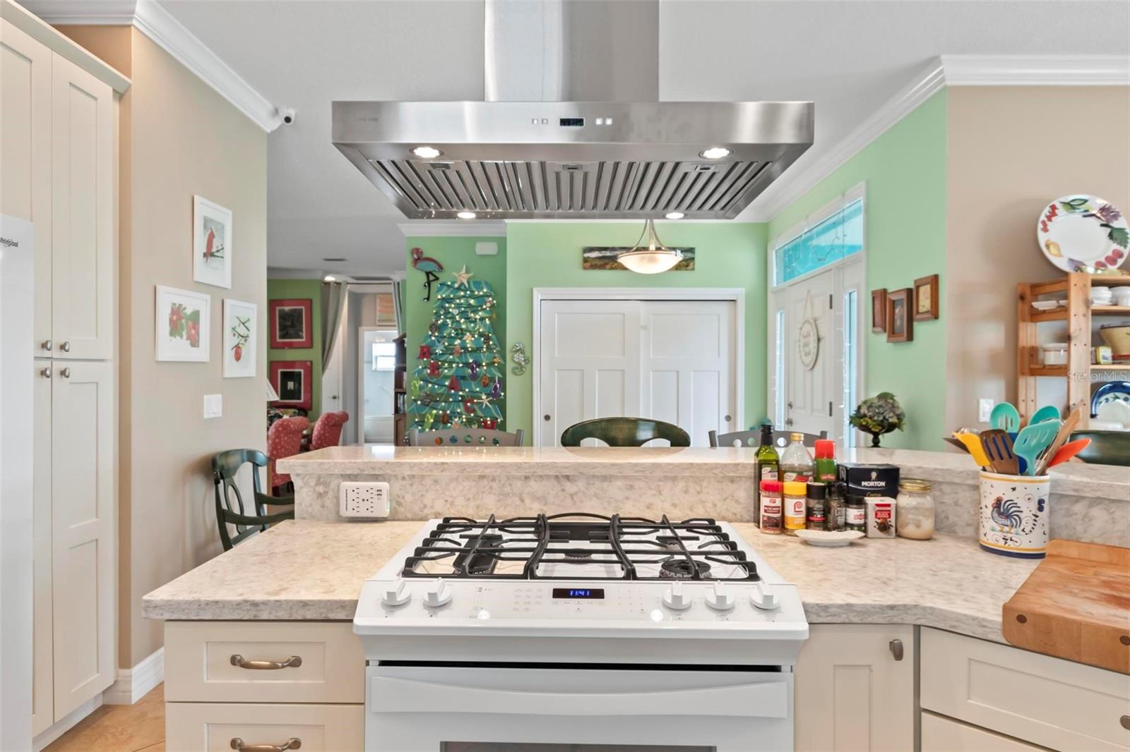 2415 S DAYTONA AVE, FLAGLER BEACH, FL, 32136