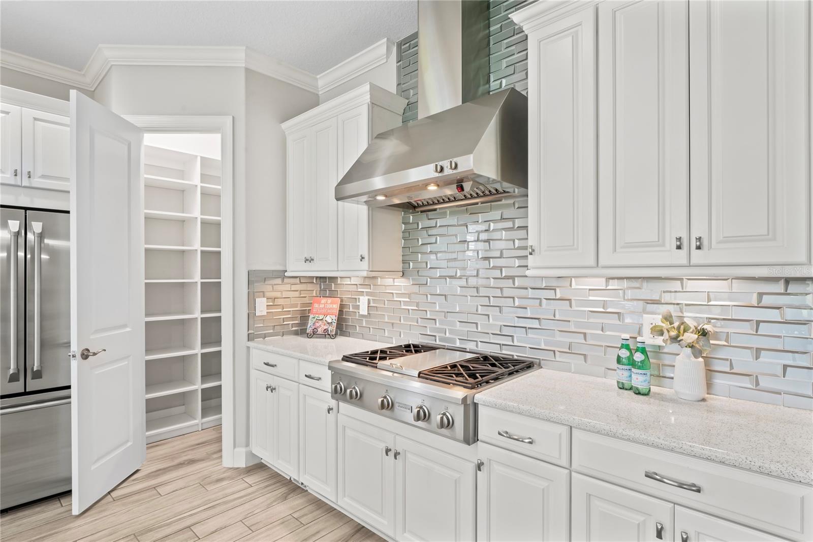 3130 FORSYTHIA DR, ODESSA, FL, 33556