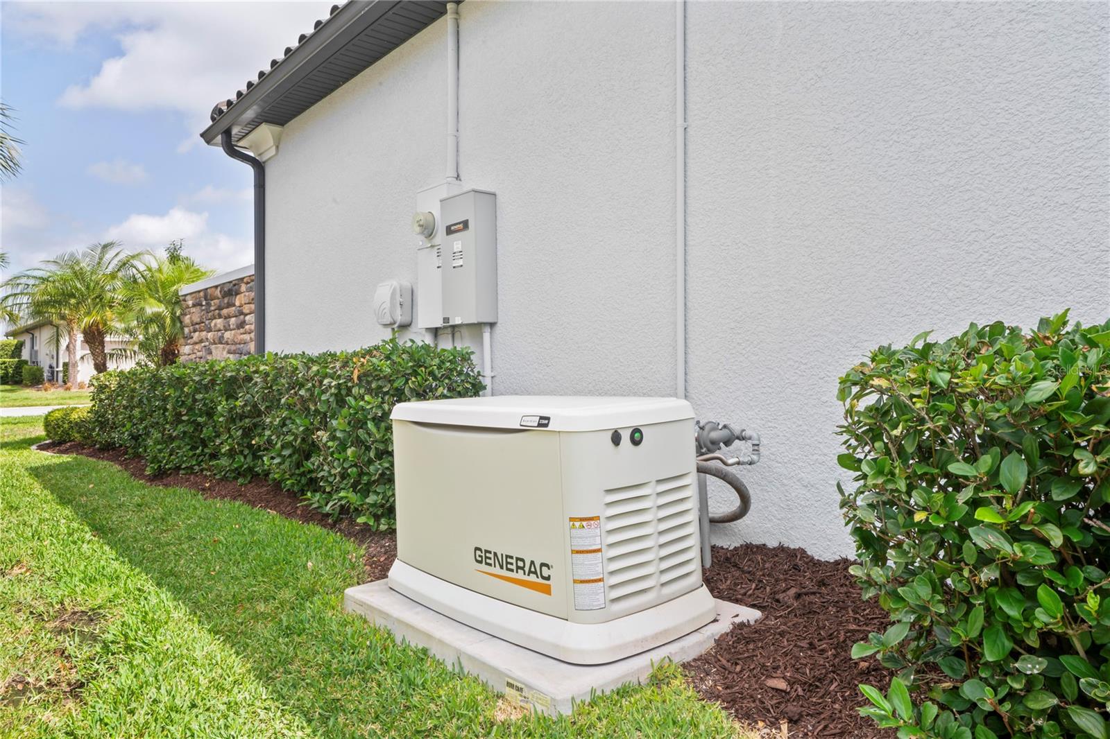 3130 FORSYTHIA DR, ODESSA, FL, 33556