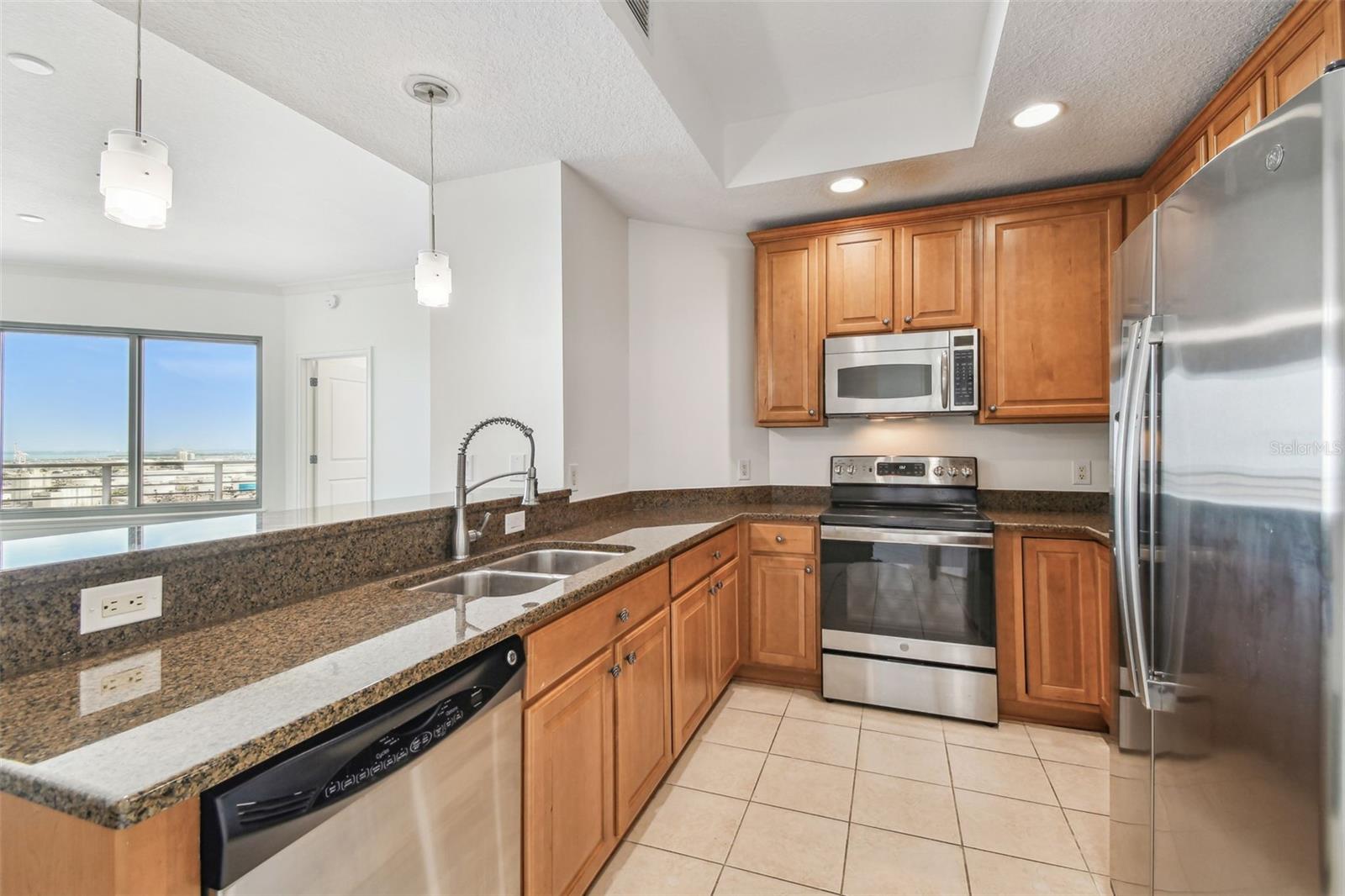 1209 E CUMBERLAND AVE #2406, TAMPA, FL, 33602
