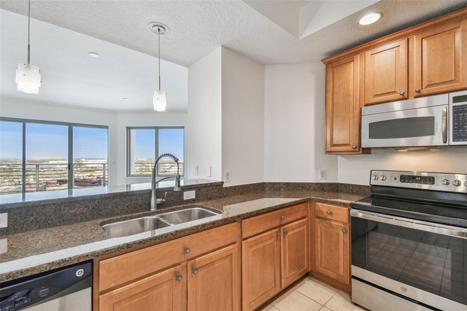 1209 E CUMBERLAND AVE #2406, TAMPA, FL, 33602