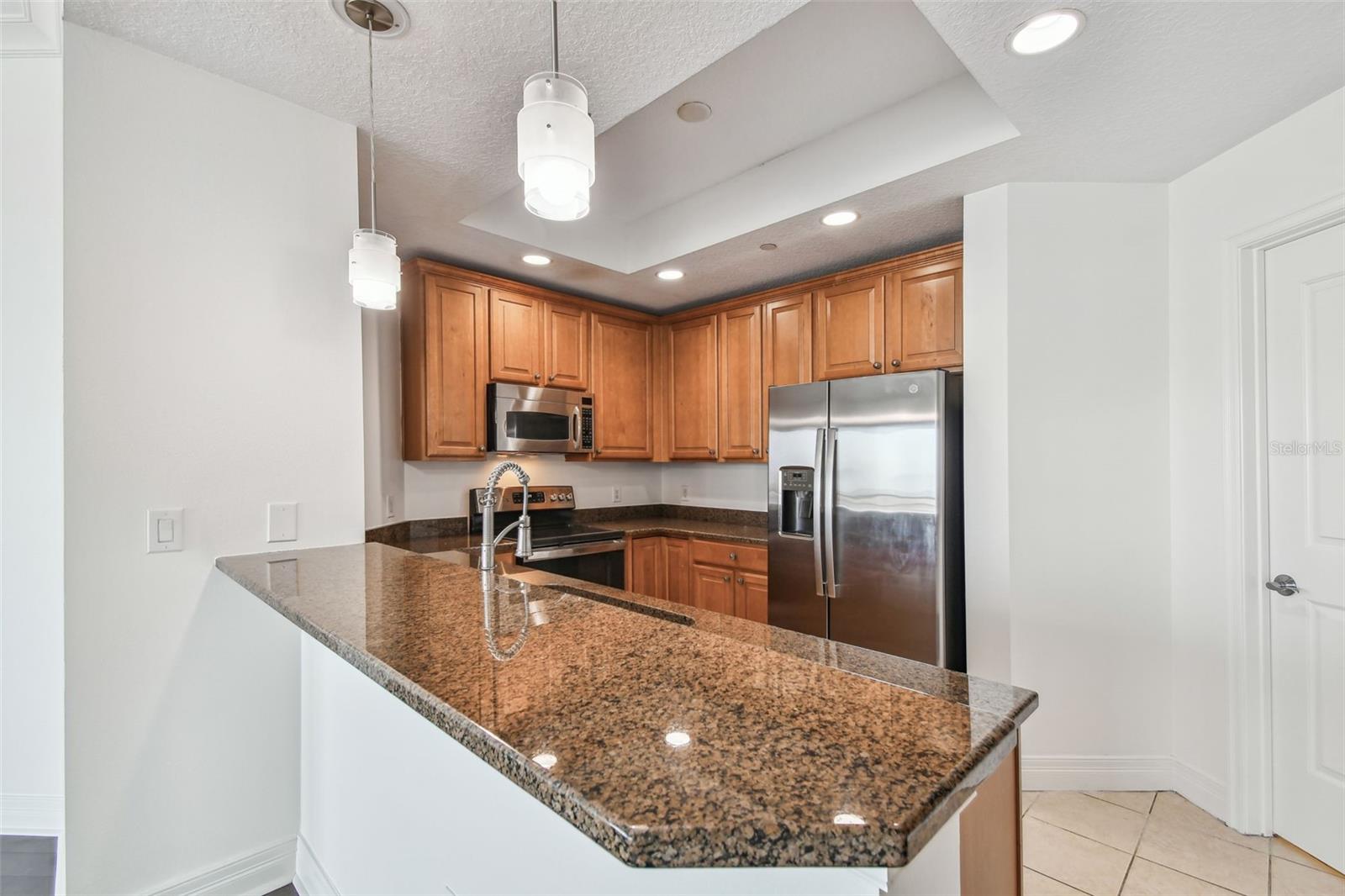 1209 E CUMBERLAND AVE #2406, TAMPA, FL, 33602