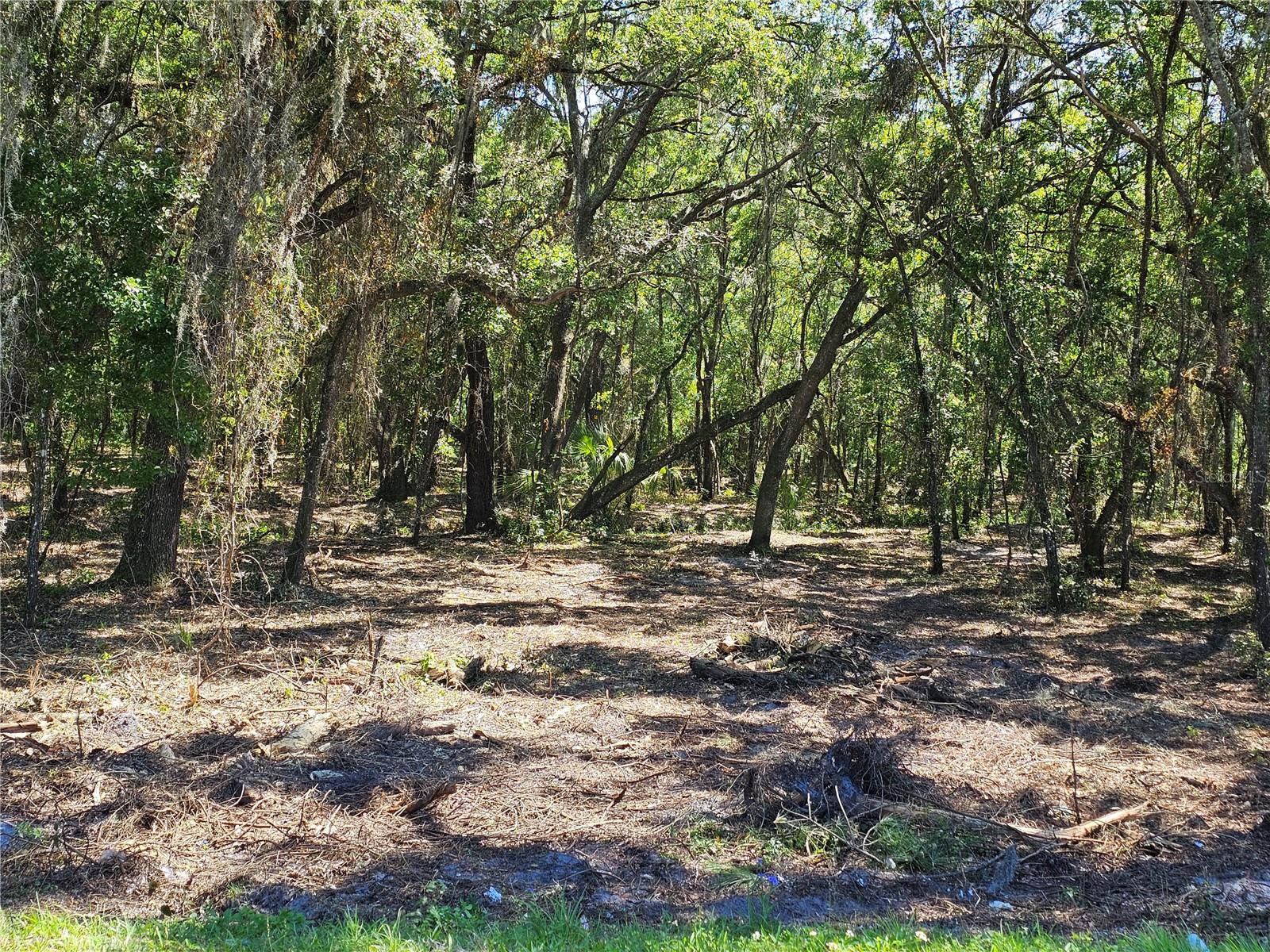 TBD PROSPECT, DADE CITY, FL, 33525