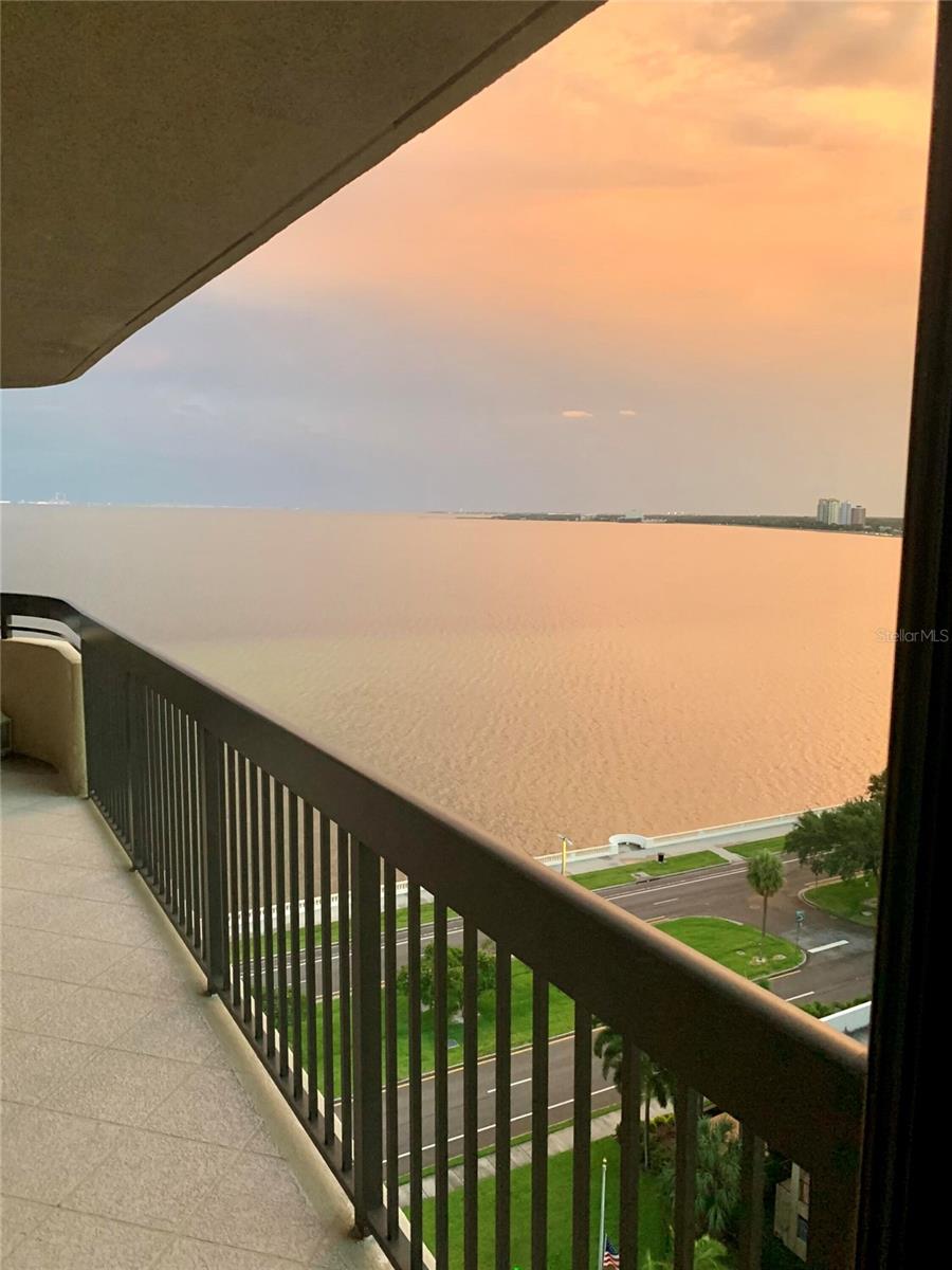 2413 BAYSHORE BLVD #1404, TAMPA, FL, 33629