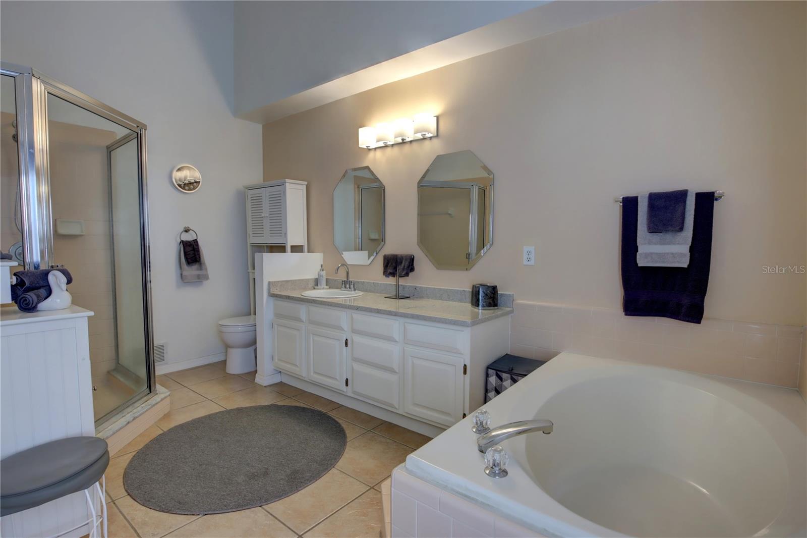 304 SILVER PINE DR, LAKE MARY, FL, 32746