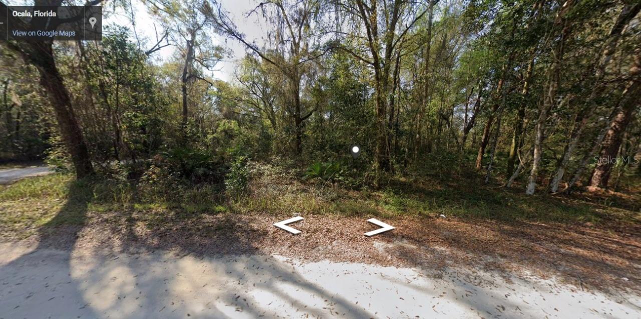 SW 14TH PL, OCALA, FL, 34481