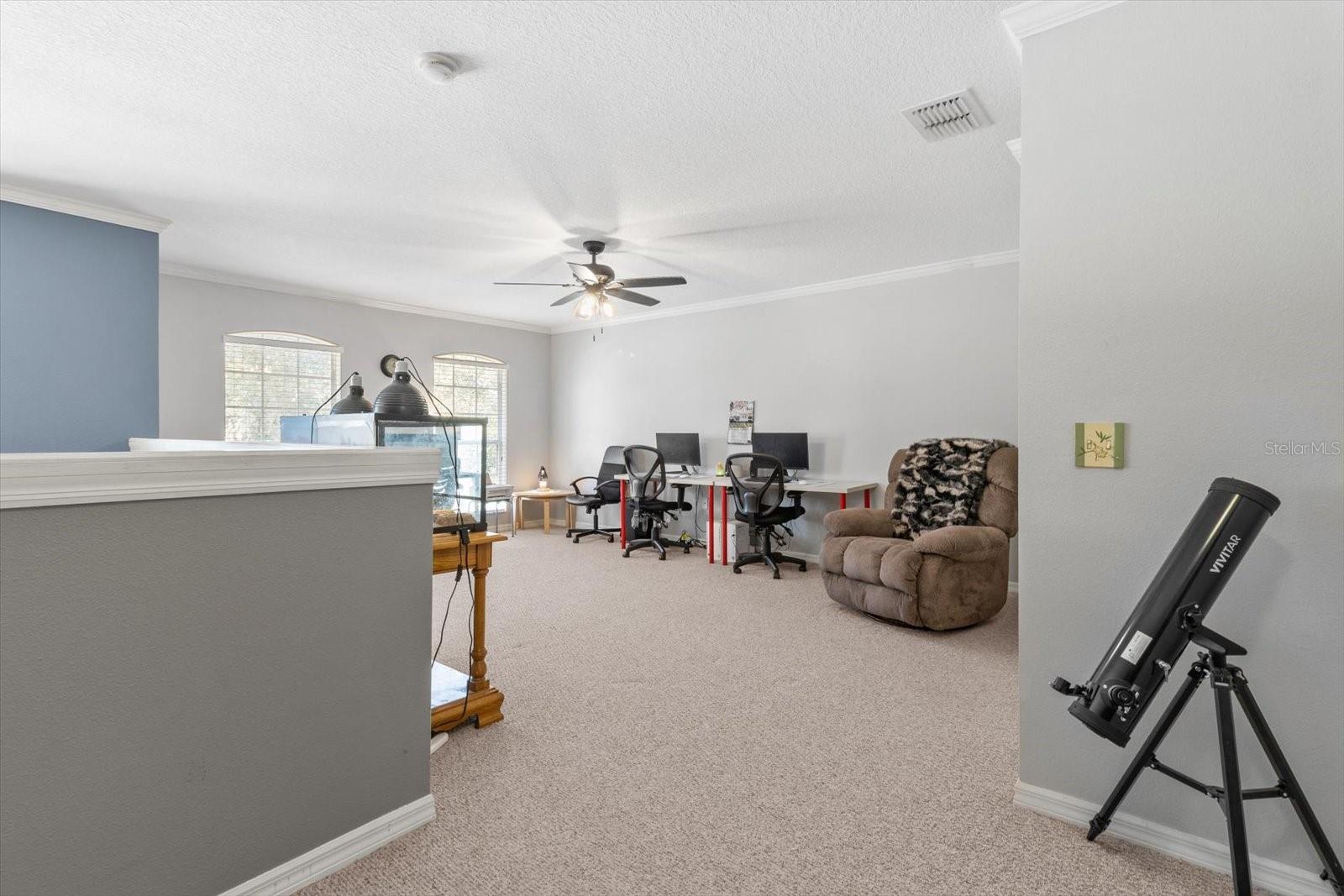 5 MASTIC CT W, HOMOSASSA, FL, 34446