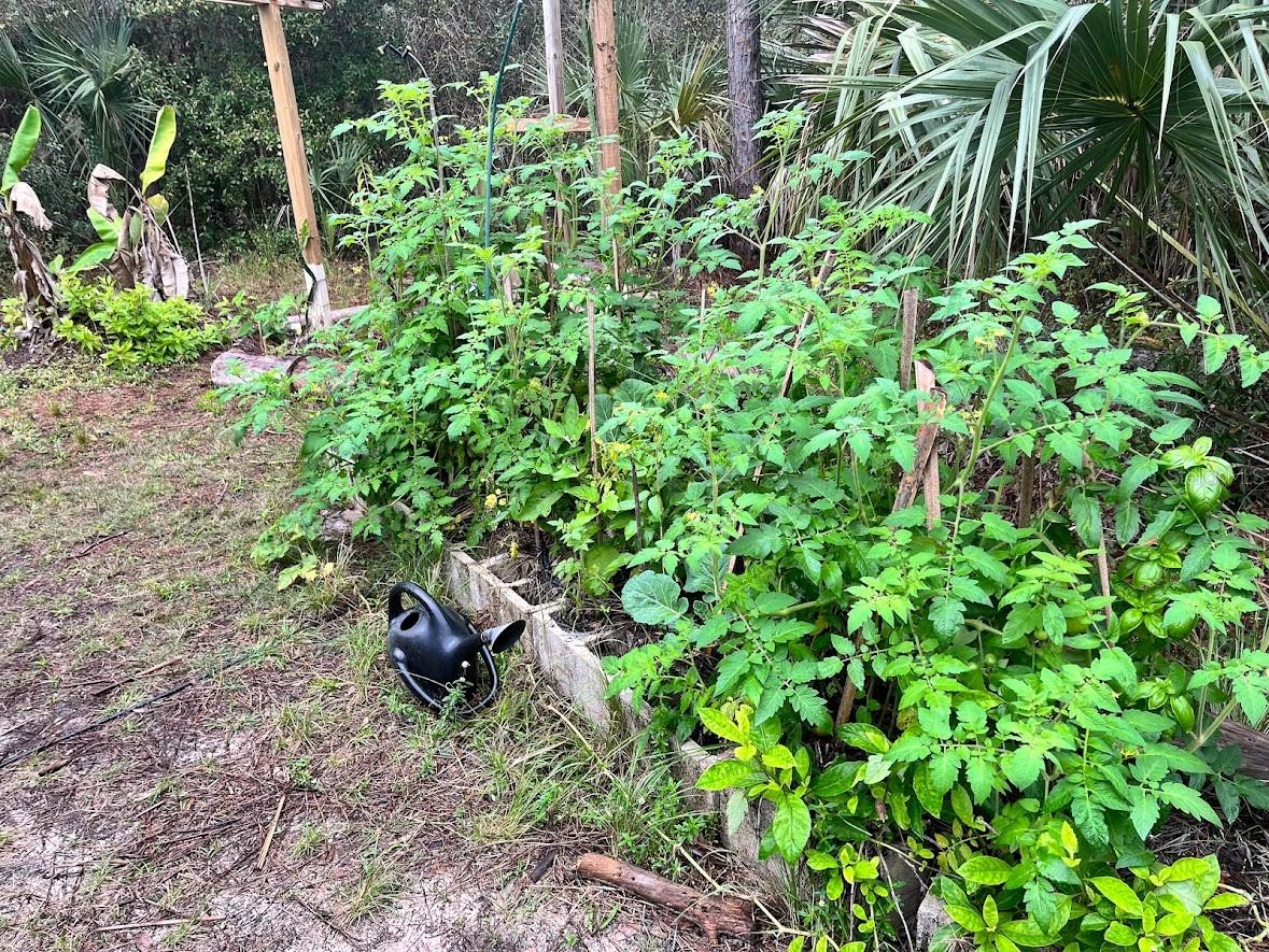3205 HENDRY ISLES BLVD., CLEWISTON, FL, 33440
