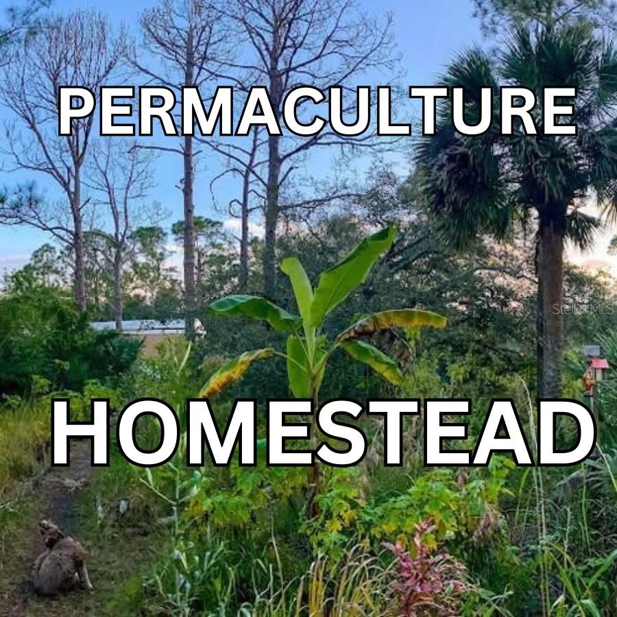 3205 HENDRY ISLES BLVD., CLEWISTON, FL, 33440