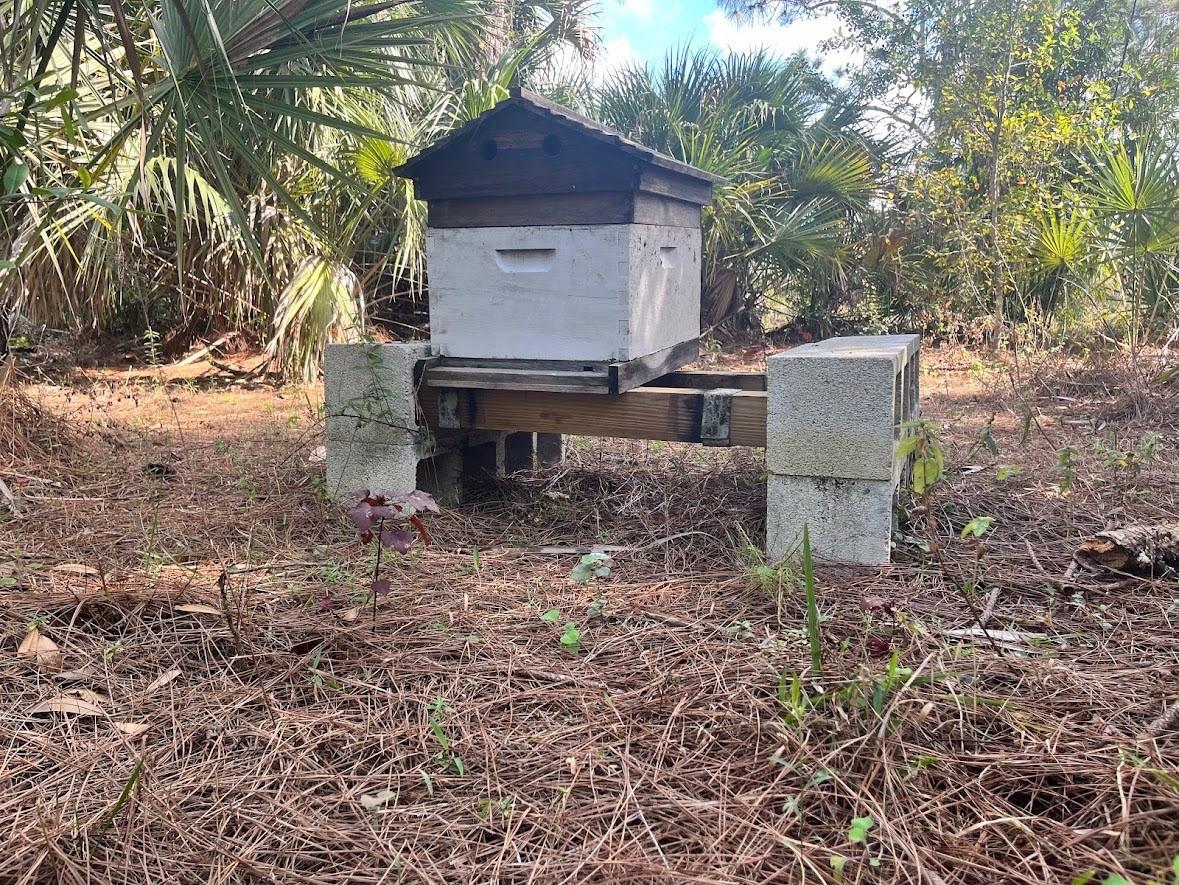3205 HENDRY ISLES BLVD., CLEWISTON, FL, 33440