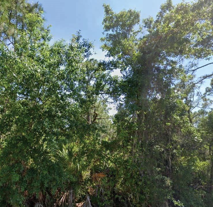 3304 LAKE HILL DR, LAKE PLACID, FL, 33852