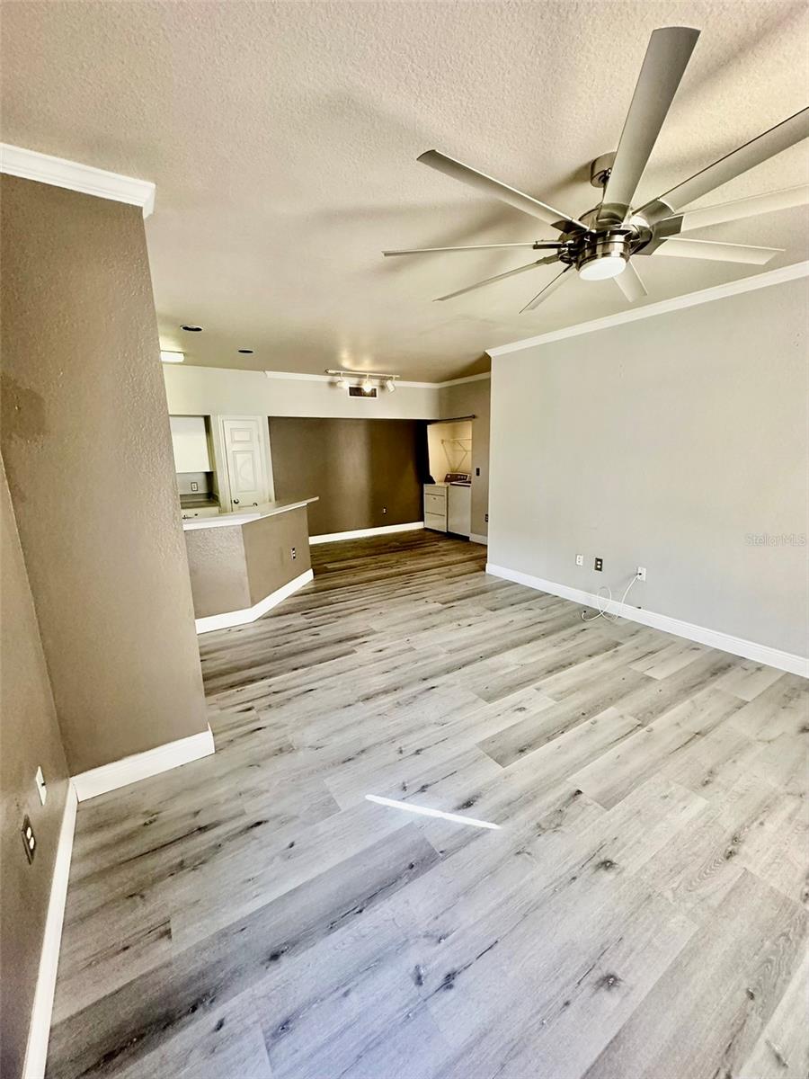10450 WHITE LAKE CT #44, TAMPA, FL, 33626