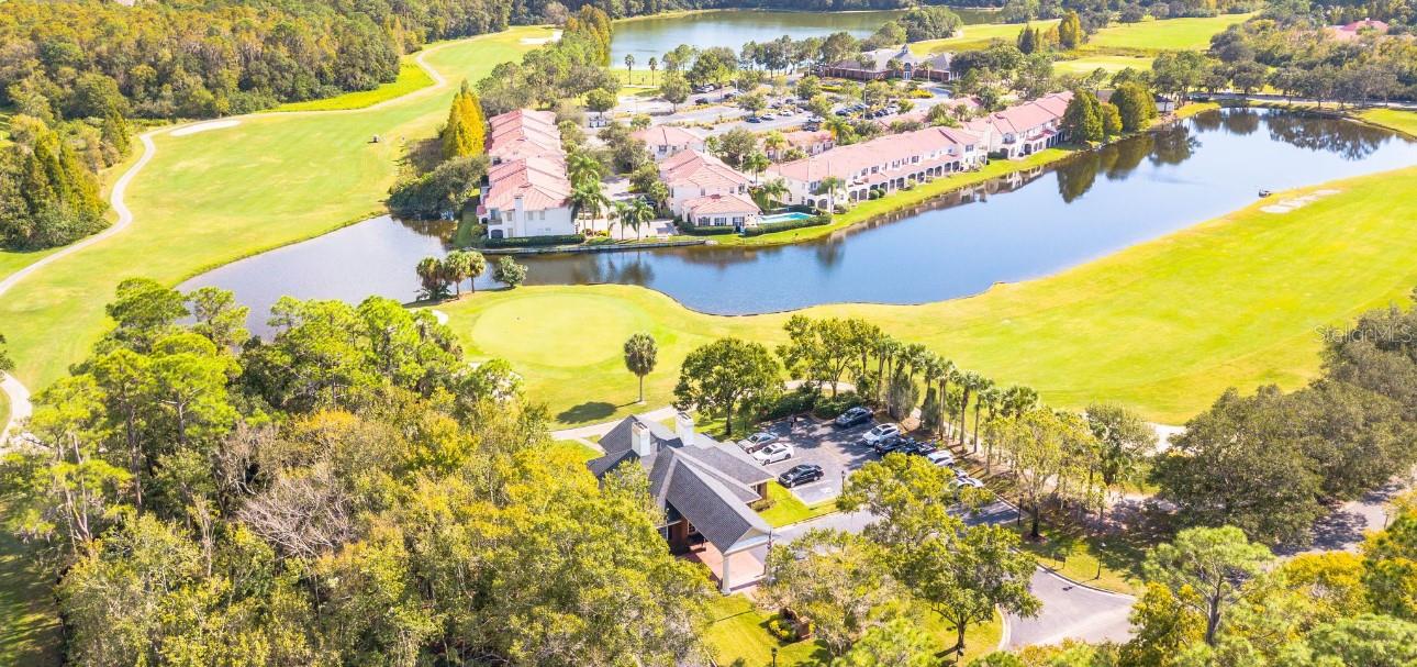 10450 WHITE LAKE CT #44, TAMPA, FL, 33626