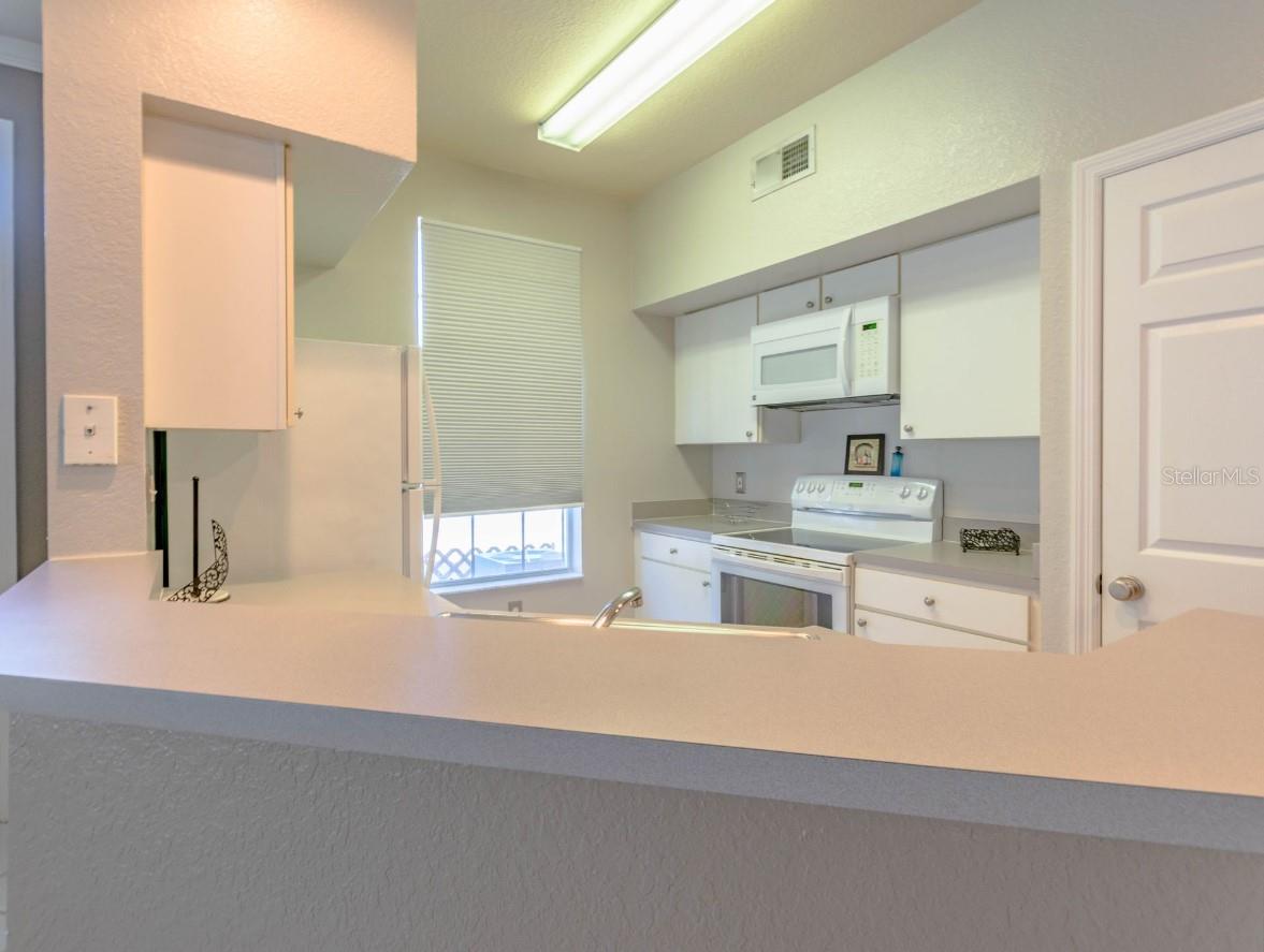 10450 WHITE LAKE CT #44, TAMPA, FL, 33626