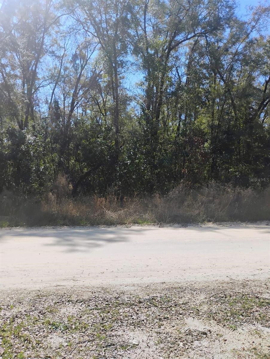 0 282ND TER, BRANFORD, FL, 32008