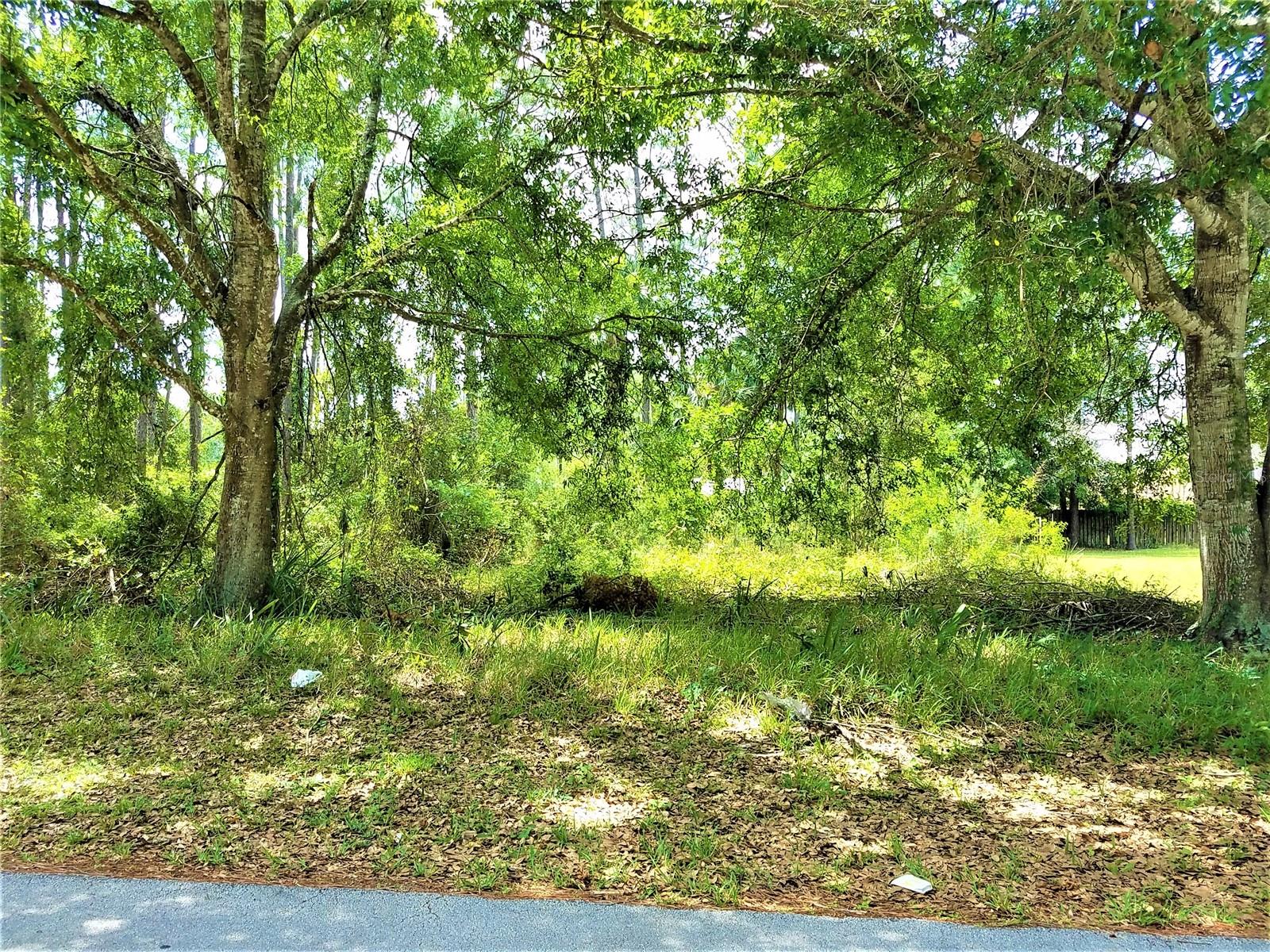 75 BREWSTER LN, PALM COAST, FL, 32137