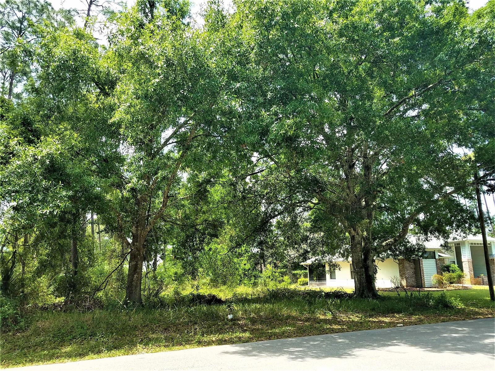 75 BREWSTER LN, PALM COAST, FL, 32137