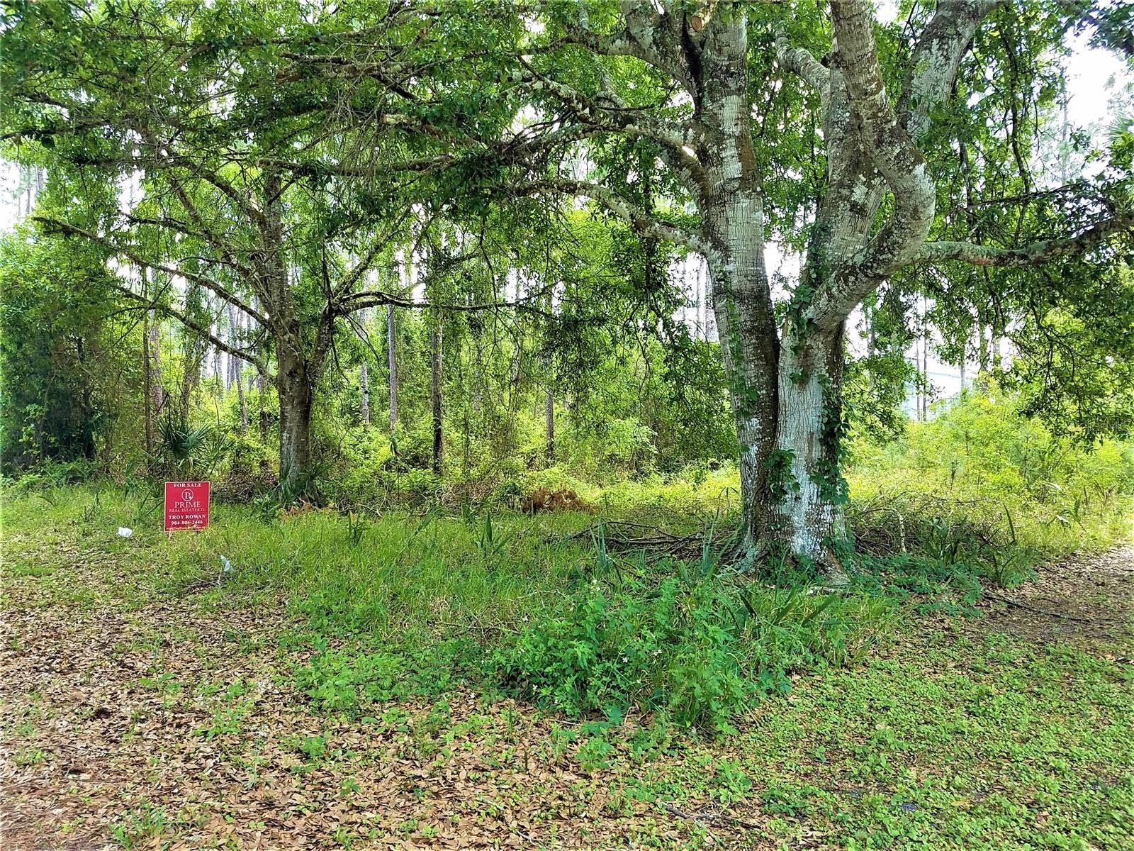 75 BREWSTER LN, PALM COAST, FL, 32137