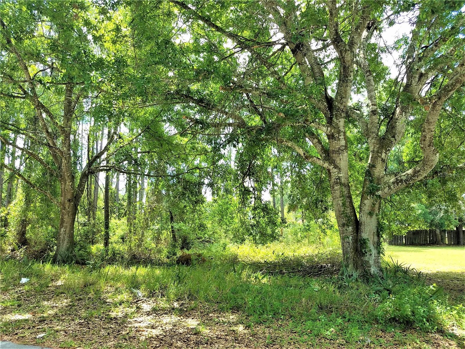 75 BREWSTER LN, PALM COAST, FL, 32137