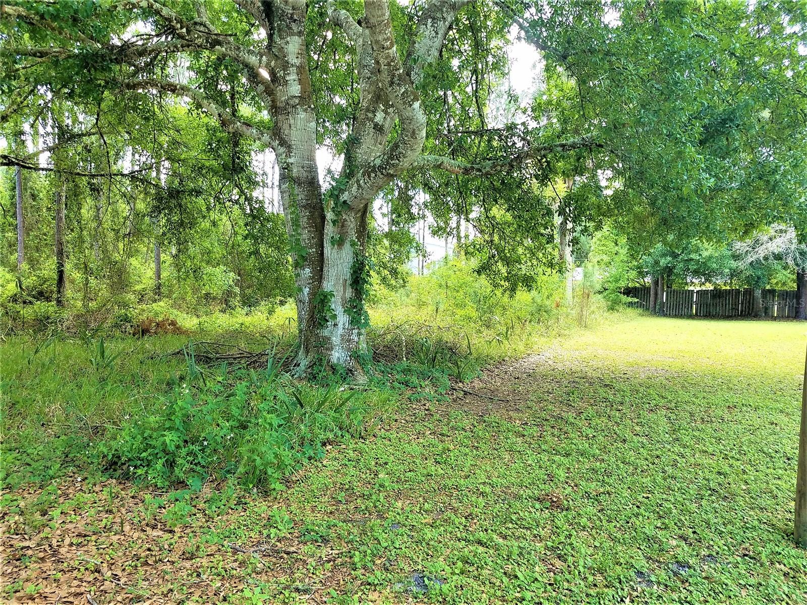 75 BREWSTER LN, PALM COAST, FL, 32137