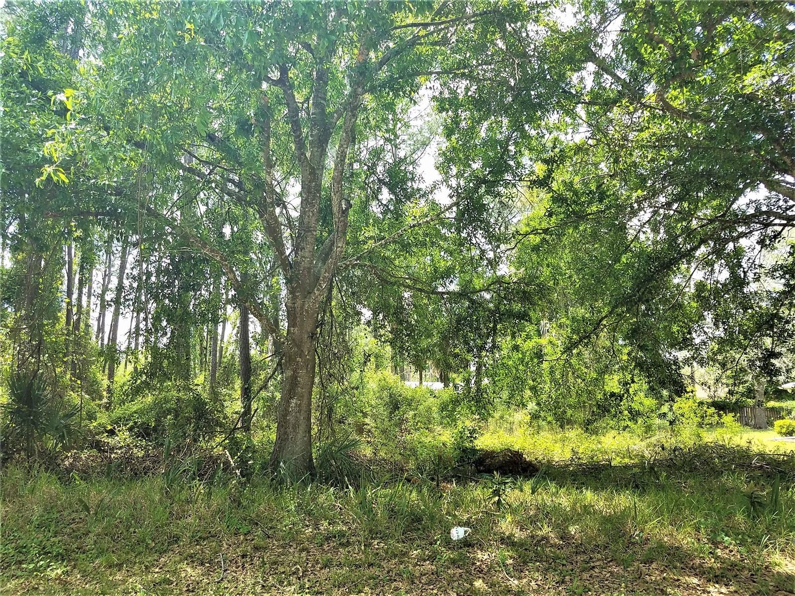 75 BREWSTER LN, PALM COAST, FL, 32137