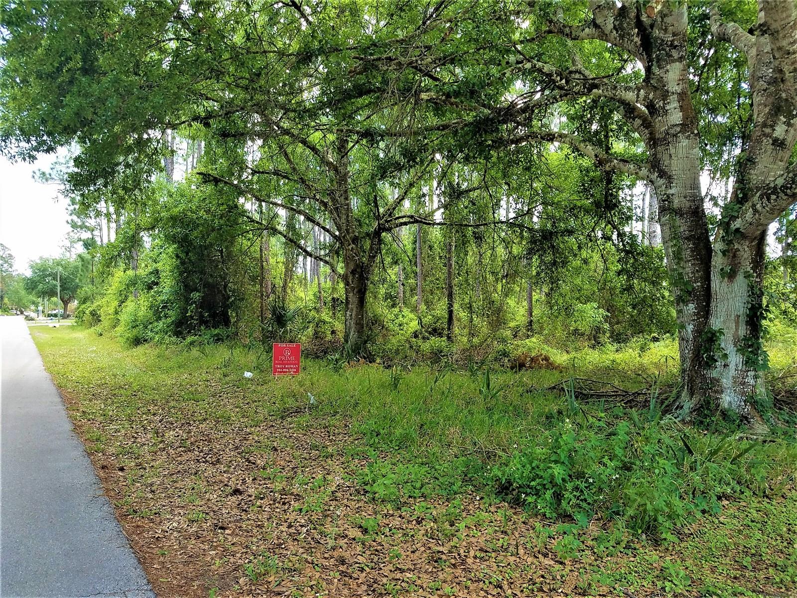 75 BREWSTER LN, PALM COAST, FL, 32137