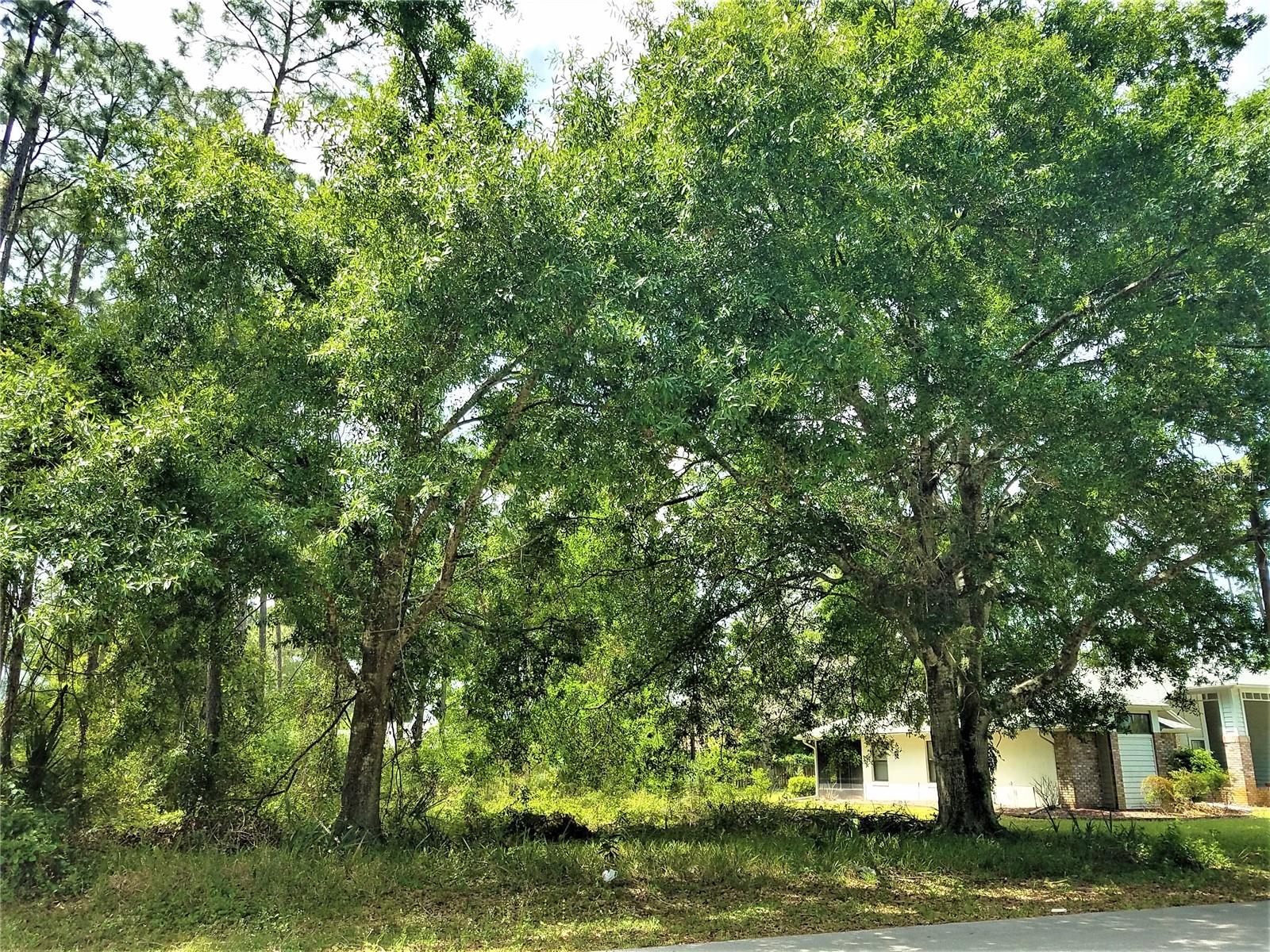 75 BREWSTER LN, PALM COAST, FL, 32137