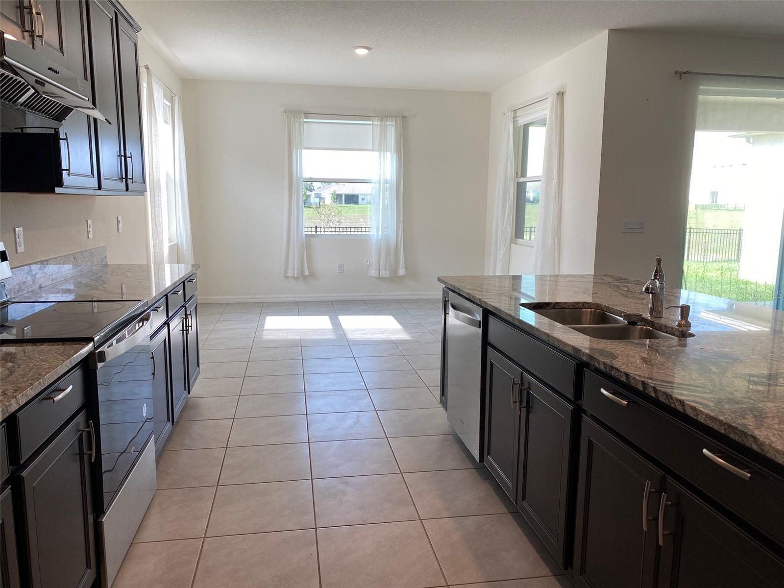 13393 GOLDEN LIME AVE, SPRING HILL, FL, 34609