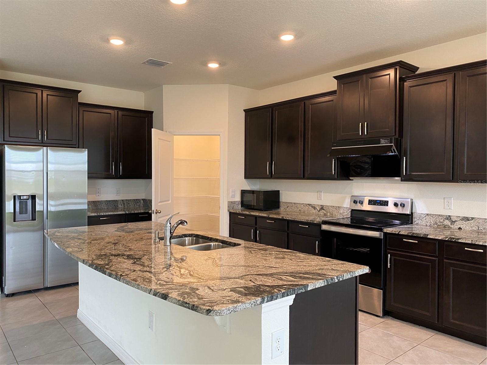13393 GOLDEN LIME AVE, SPRING HILL, FL, 34609